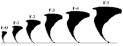 F Scale